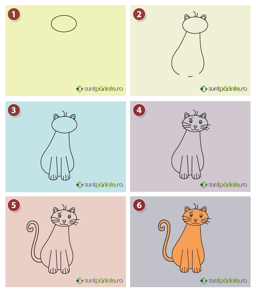 Cum se deseneaza o pisica