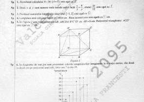 Subiecte simulare evaluare nationala 2017 matematica