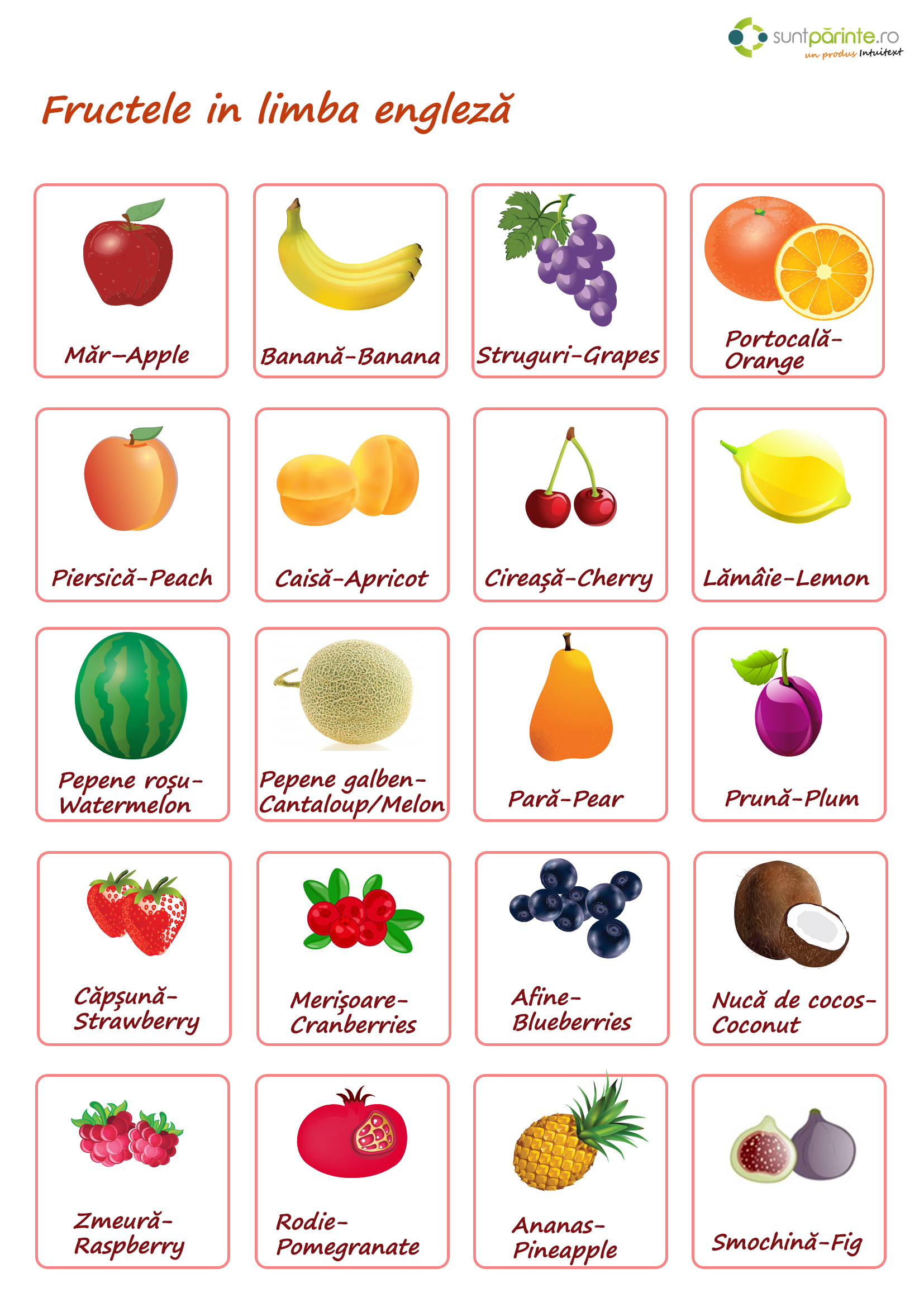 fructe in engleza