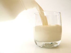 Cum sa realizezi lipici din lapte