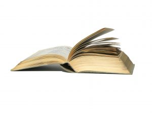 stilul vizual de invatare