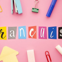 Cursuri de franceza online
