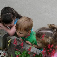 Invatarea prin descoperire. Mai mult decat un concept modern