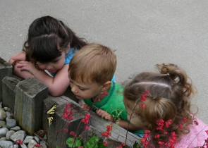 invatarea prin descoperire