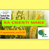 Ce cunostinte trebuie sa aiba copilul la matematica la finalul clasei a doua?