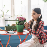 Activitati inspirate de natura in perioada de izolare