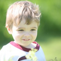 Cantece de primavara