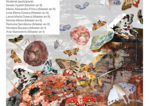 „Cartografieri textile” la Muzeul de Arta Populara Dr. Nicolae Minovici