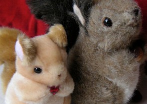 Ajut-o pe rita veverita