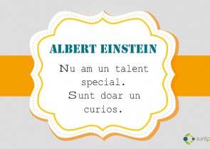 citat Einstein