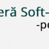 VIDEO: Substantivul. Identificare si analiza