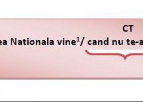 Propozitia circumstantiala de timp