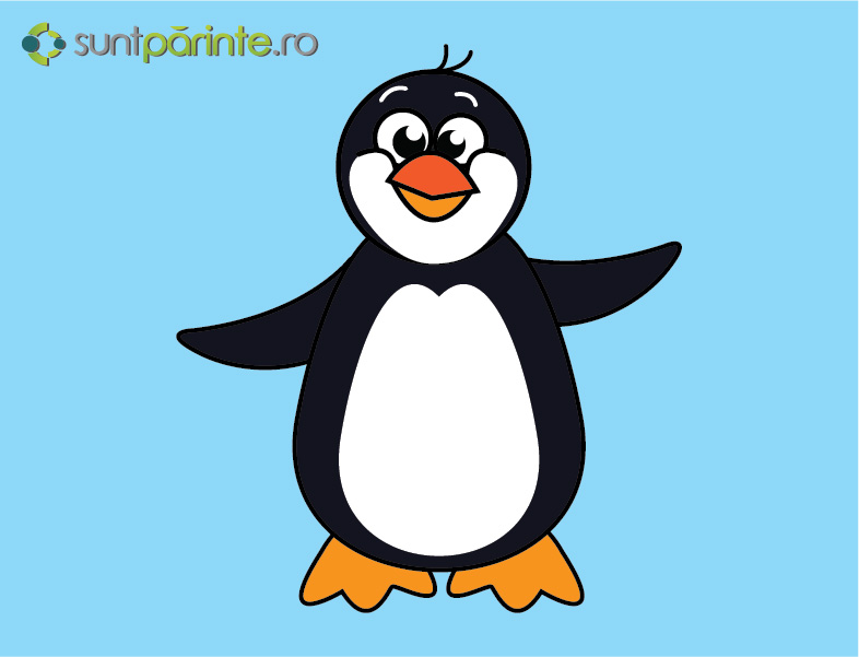 etapa 5 pinguin