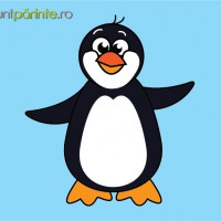 Cum se deseneaza un pinguin