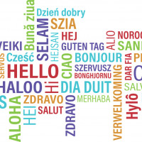 Invata limbi straine