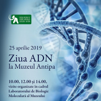 VIDEO: Confuzii intre substantiv si adjectiv