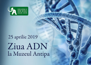 Ziua ADN la Muzeul Antipa
