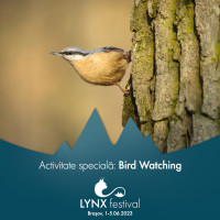 Incepe LYNX, primul festival romanesc dedicat filmului documentar si fotografiei de natura