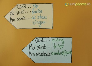 etichetele emotiilor