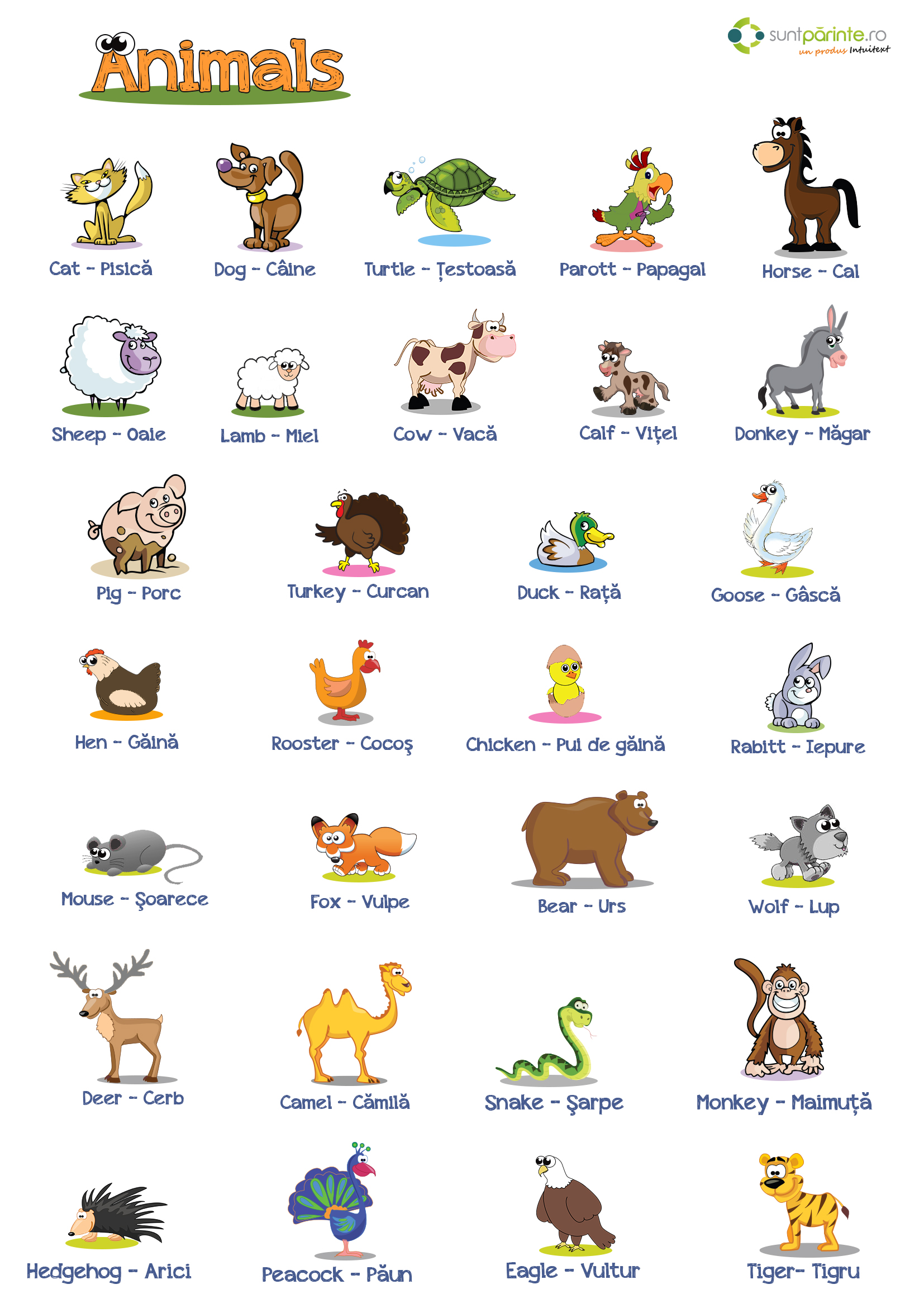 animale in engleza