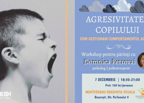 Agresivitatea copilului. Cum gestionam comportamentul agresiv. Workshop cu Domnica Petrovai