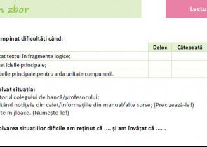 Limba romana in era digitala