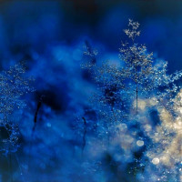 ScoalaIntuitext.ro - LECTIE ONLINE: Anotimpurile. Durata anotimpurilor