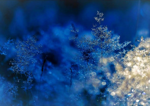 ScoalaIntuitext.ro - LECTIE ONLINE: Anotimpurile. Durata anotimpurilor