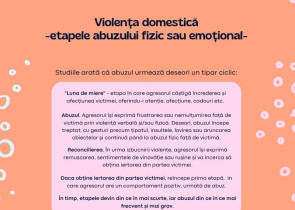 Violenta domestica efecte