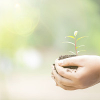 Inteligenta naturalista