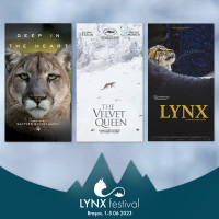  10 documentare apreciate in festivaluri internationale vor fi proiectate la prima editie LYNX Festival intre 1 – 5 iunie