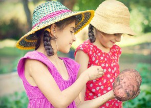 cartofii in dieta copilului