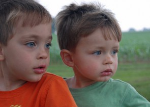 Certurile dintre frati