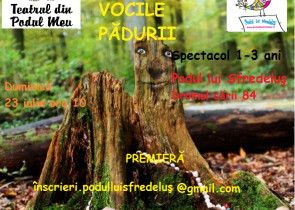 Teatrul din Podul Meu - Vocile padurii