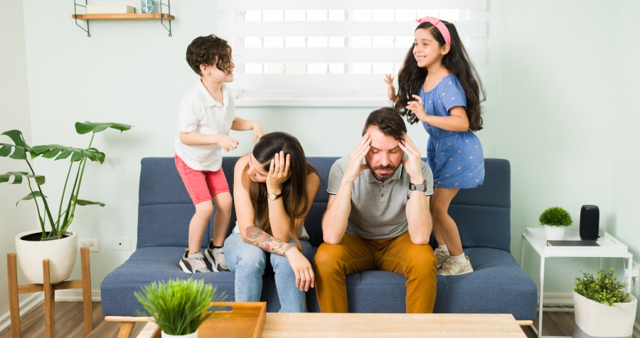 teoria stresului in familie