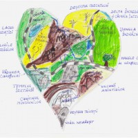 Atlasul inimilor – activitate creativa despre emotii