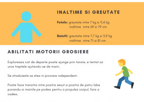 infografic-1-an